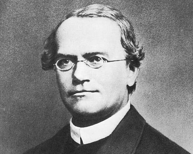 Proof that Mendel discovered the laws of inheritance decades ahead of his time