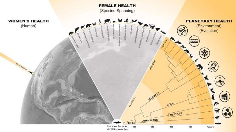 Proposed global initiative to study female health across species