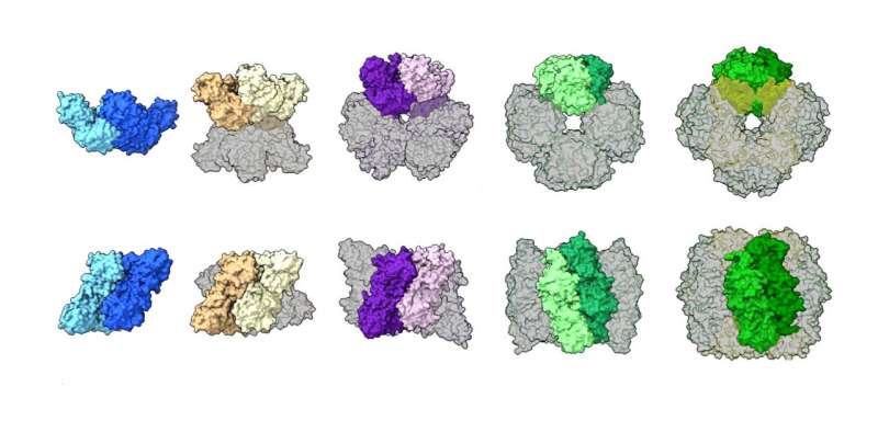 Protein structures aren't set in stone