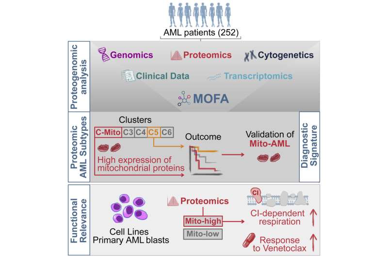 Proteogenomics identifies novel acute myeloid leukemia subtypes