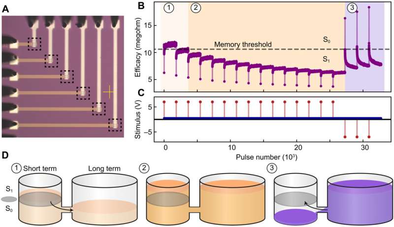 Providing embedded artificial intelligence with a capacity for palimpsest memory storage