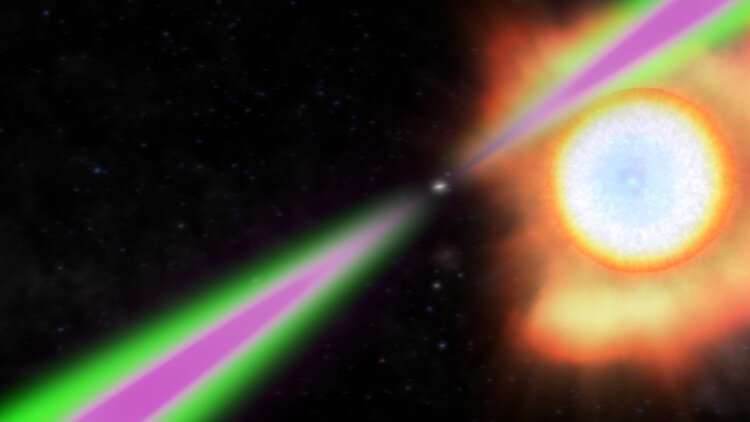 Heaviest neutron star to date is a 'black widow' eating its mate Psr-j0952-0607-the-fas