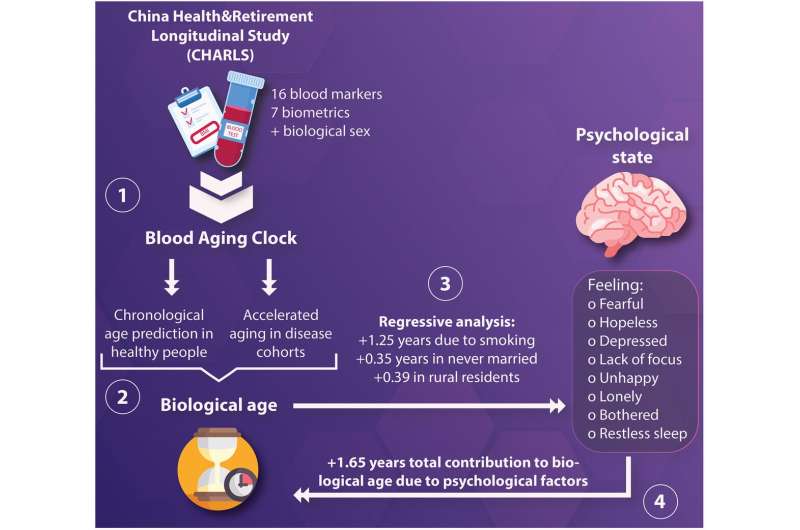 Psychological factors contribute to biological aging: Evidence from the aging rate in Chinese older adults