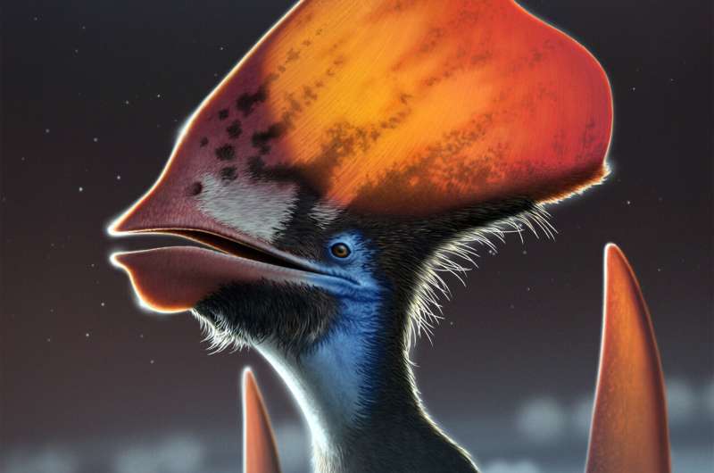 Pterosaur discovery solves ancient feather mystery