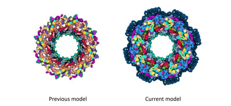 Puzzling out the structure of a molecular giant