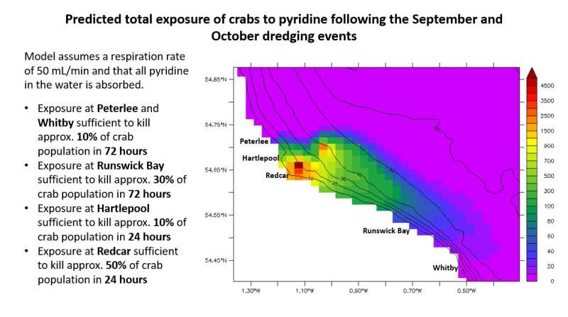 Pyridine implicated in mass crustacean mortalities