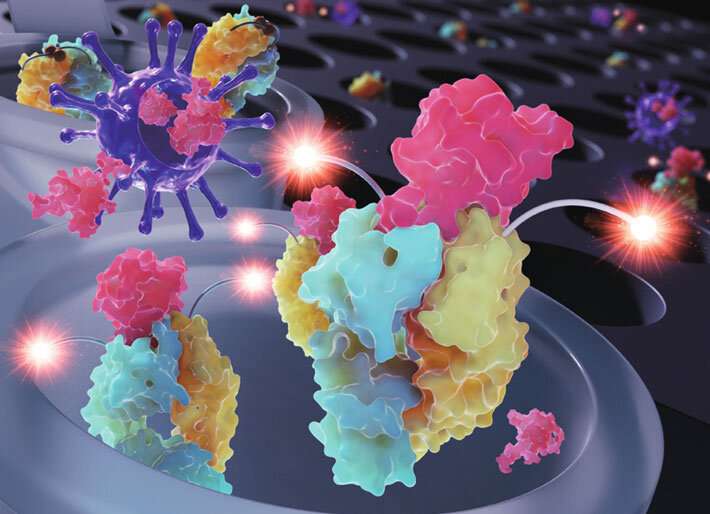 Quenchbody immunosensors pave the way to quick and sensitive COVID-19 diagnostics