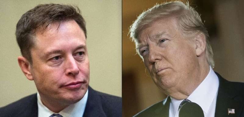 &quot;Fascinating to watch Twitter Trump poll!&quot; Elon Musk tweeted