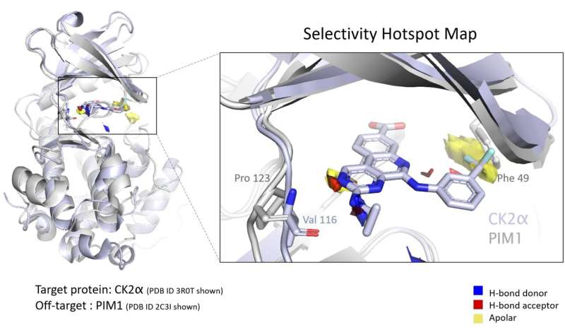 &quot;Hotspot mapping&quot; accelerates early-phase drug design