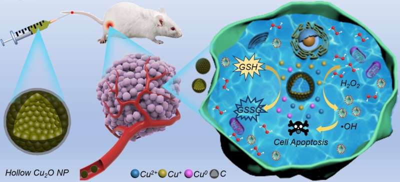 &quot;nanocapsules&quot; provide new solution for efficient cancer chemodynamic therapy