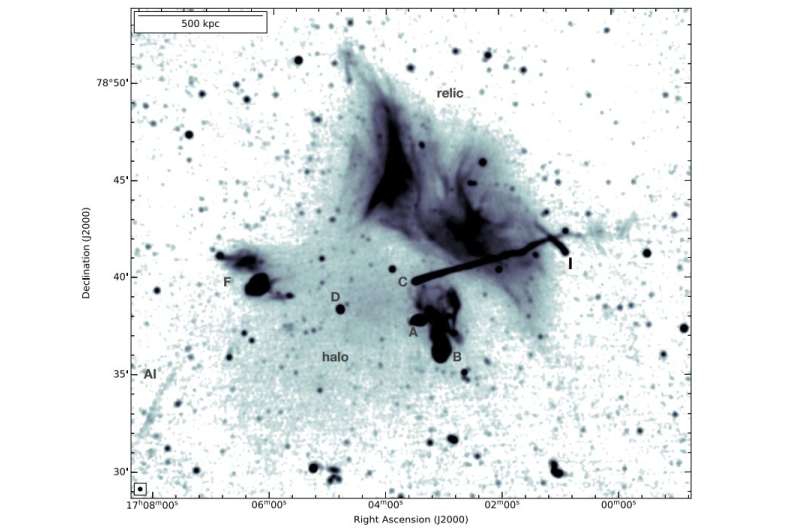 Radio halo in galaxy cluster Abell 2256 investigated in detail
