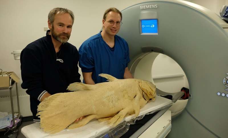 Radiology sheds light on ancient fish species coelacanth