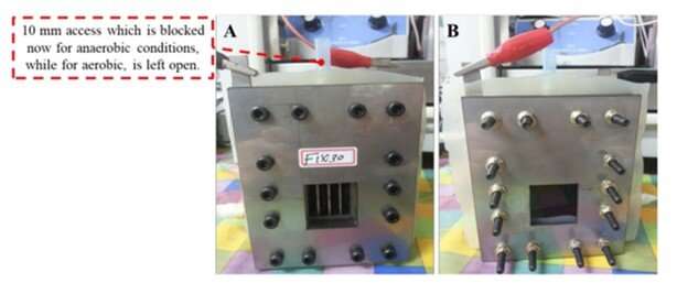 Rainwater-driven microbial fuel cells for power generation in remote areas