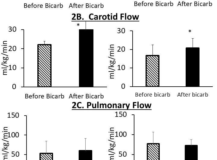 Rapid bicarbonate bolus post extensive neonatal resuscitation leads to increased perfusion to the heart and brain