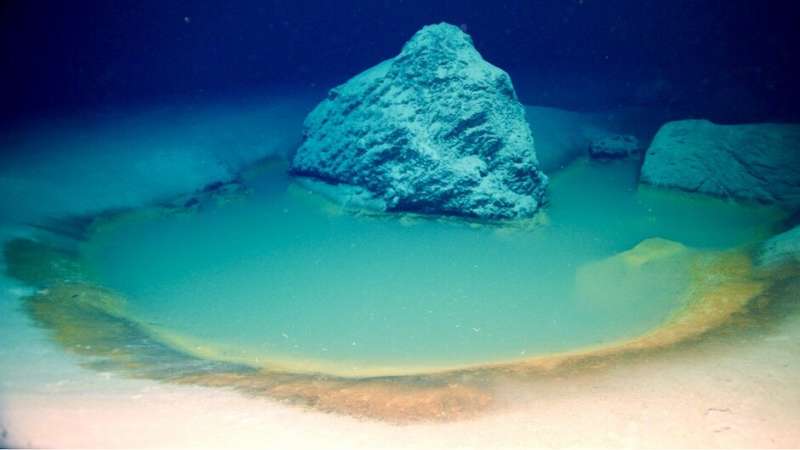 Rare deep-sea brine pools discovered in Red Sea