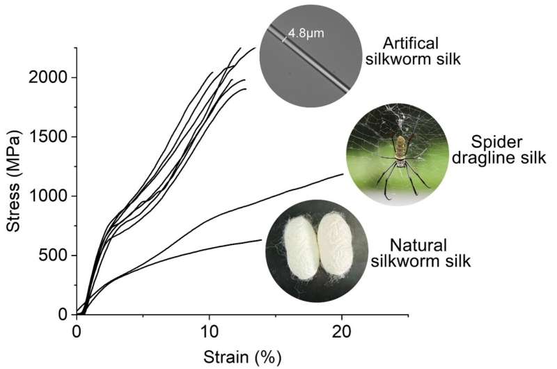 Re-spun silkworm silk is 70% stronger than spider silk