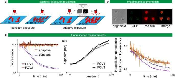 Reactive microscopy with MicroMator Software