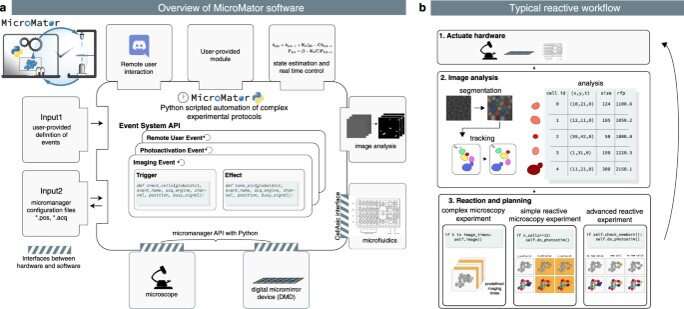 Reactive microscopy with MicroMator Software
