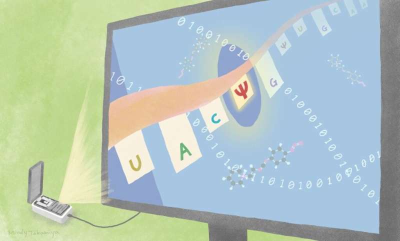 Reading RNA modifications more precisely in a pocket-sized device