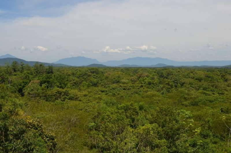 Recovering biodiversity in Brazil's pioneering Atlantic Forest through conservation and ecological restoration