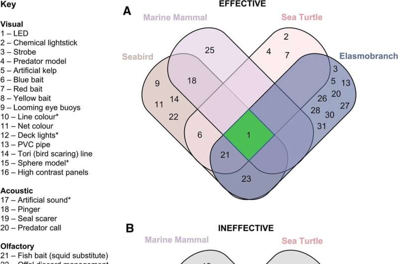 Reducing bycatch with sensory deterrents
