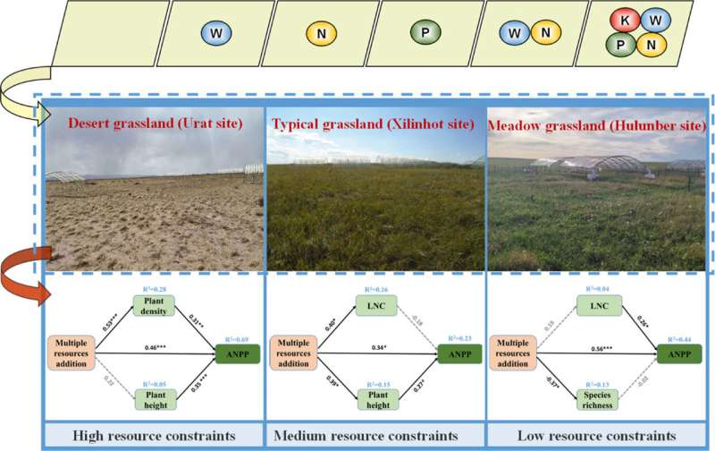 Relationship between grassland biodiversity and productivity under influence of multiple-resource addition