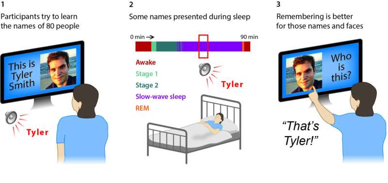 Remembering faces and names can be improved during sleep