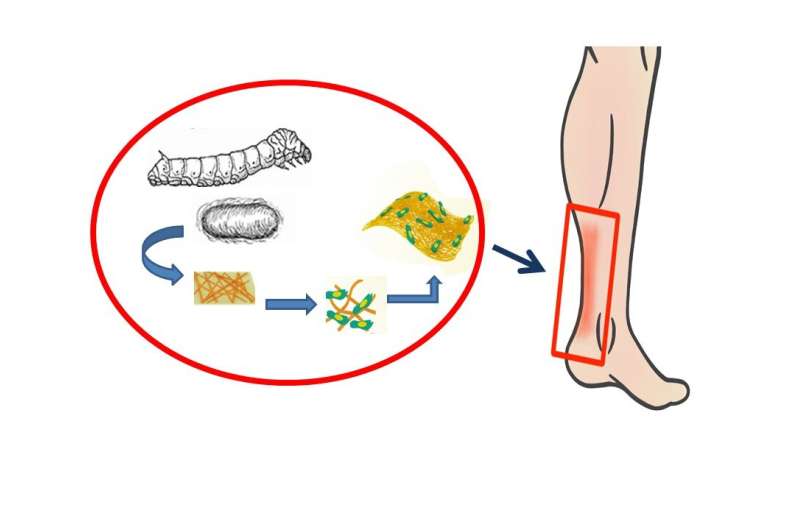 Repairing tendons with silk proteins