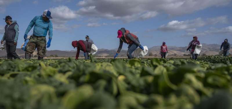 Report: Dehumanizing experience of farmworkers during COVID pandemic