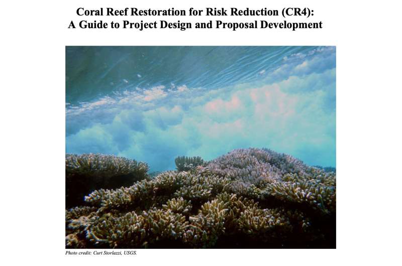Report provides guide to funding for coral reef restoration projects