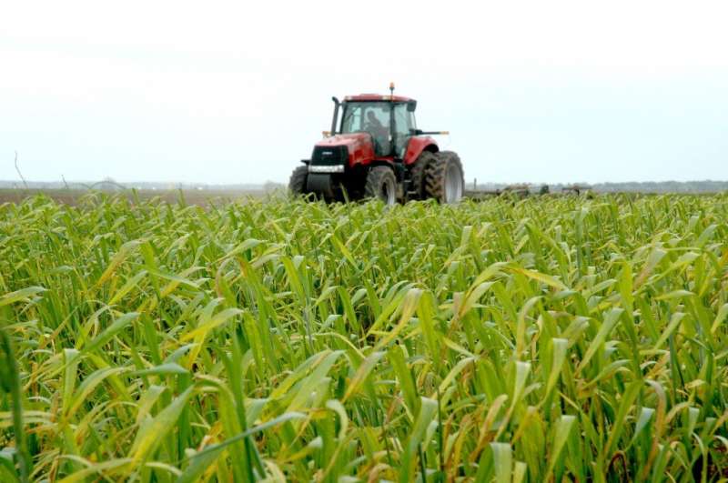 Report shows impact of higher crop, input prices