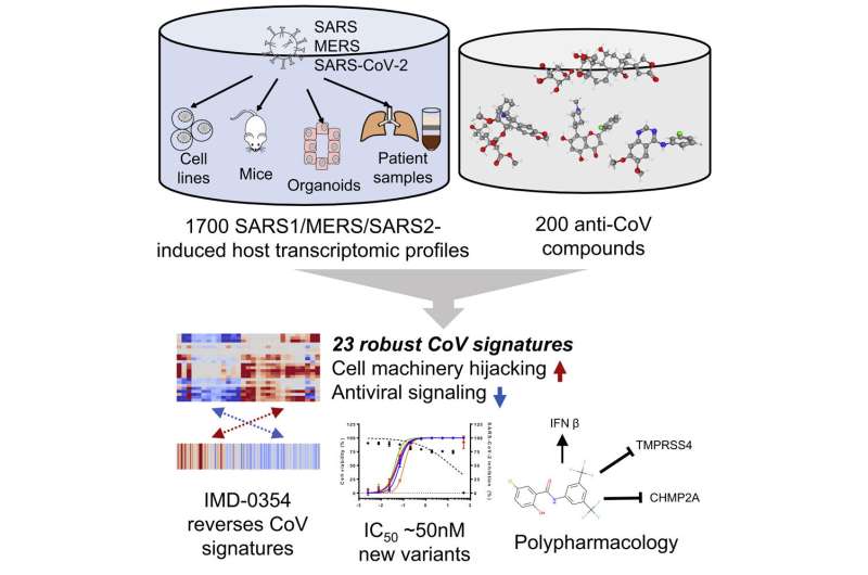 Repurposing existing drugs to fight new COVID-19 variants