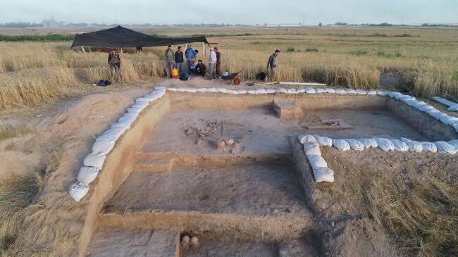 Research sheds new light on foodways in the first cities
