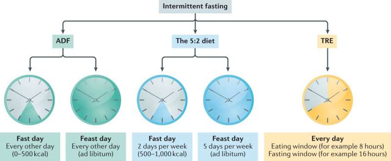 Research team provides guidelines, recommendations for intermittent fasting