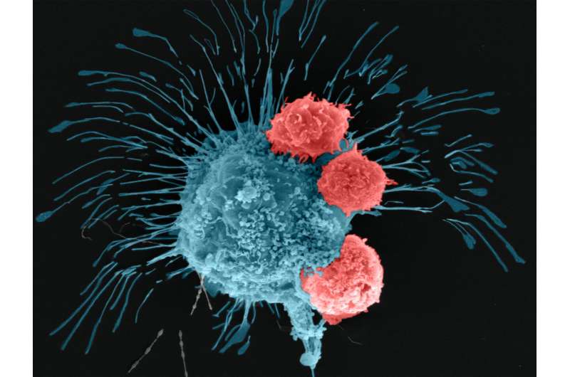 Researchers 3D bioprint breast cancer tumors, treat them in groundbreaking study