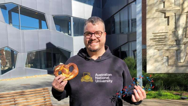 Researchers cook up new recipe for pretzel-shaped peptides