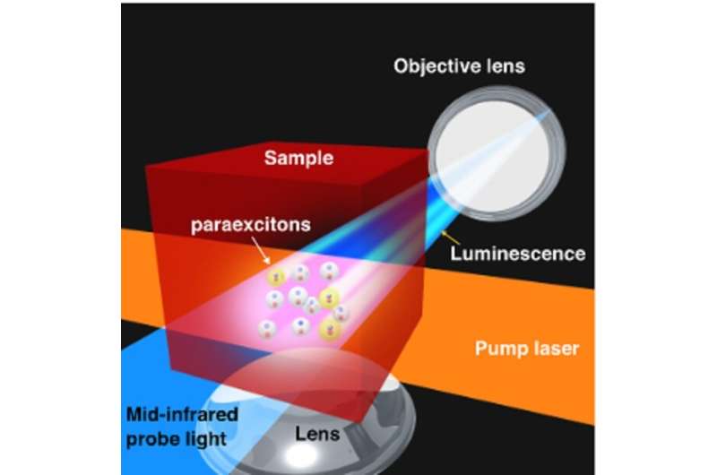 Researchers create first quasiparticle Bose-Einstein condensate