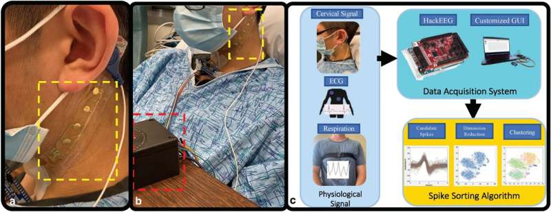 Researchers create novel device to measure nerve activity for treatment of sepsis, PTSD