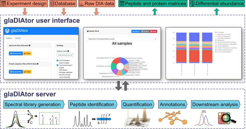 Researchers develop a new method for studying functionality of microbiota