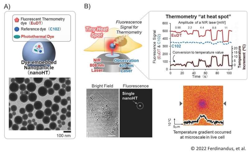 Researchers develop a nanoparticle that acts as a heater and a thermometer