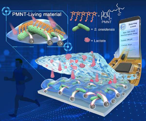 Researchers develop flexible bioelectronic device based living material for monitoring lactate and tumor cells