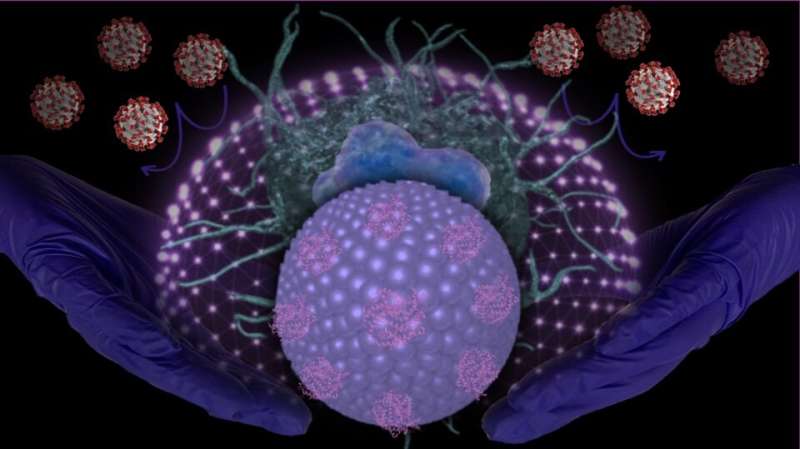 Researchers develop molecular traps to target SARS-CoV-2
