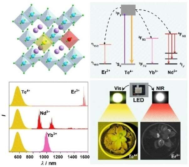 Researchers develop novel near-ultraviolet LED-excitable near-infrared emitters