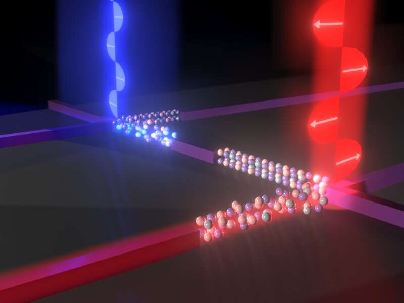 Researchers develop world's first ultra-fast photonic computer processor using polarization