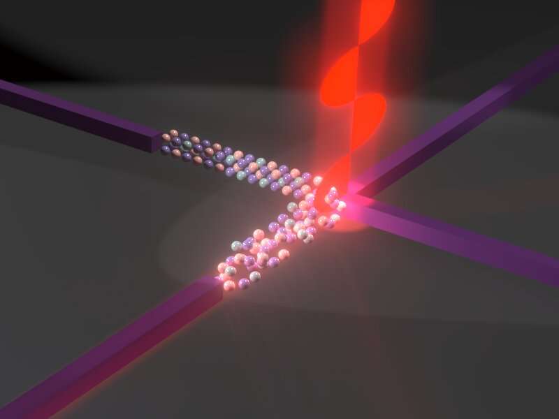 Researchers develop world's first ultra-fast photonic computer processor using polarization