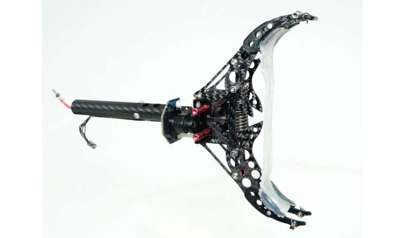 Researchers develop winged robot that can land like a bird