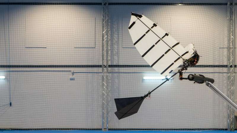 Researchers develop winged robot that can land like a bird