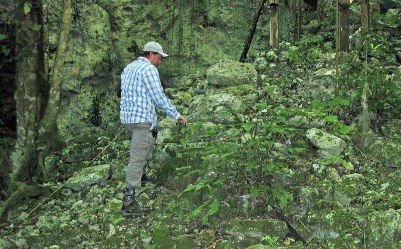 Researchers discover locations of ancient Maya sacred groves of cacao trees