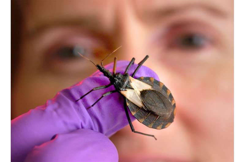 Researchers discover potential treatment for Chagas disease
