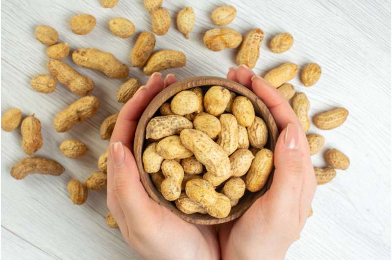 Researchers discover two treatments that induce peanut allergy remission in children thumbnail
